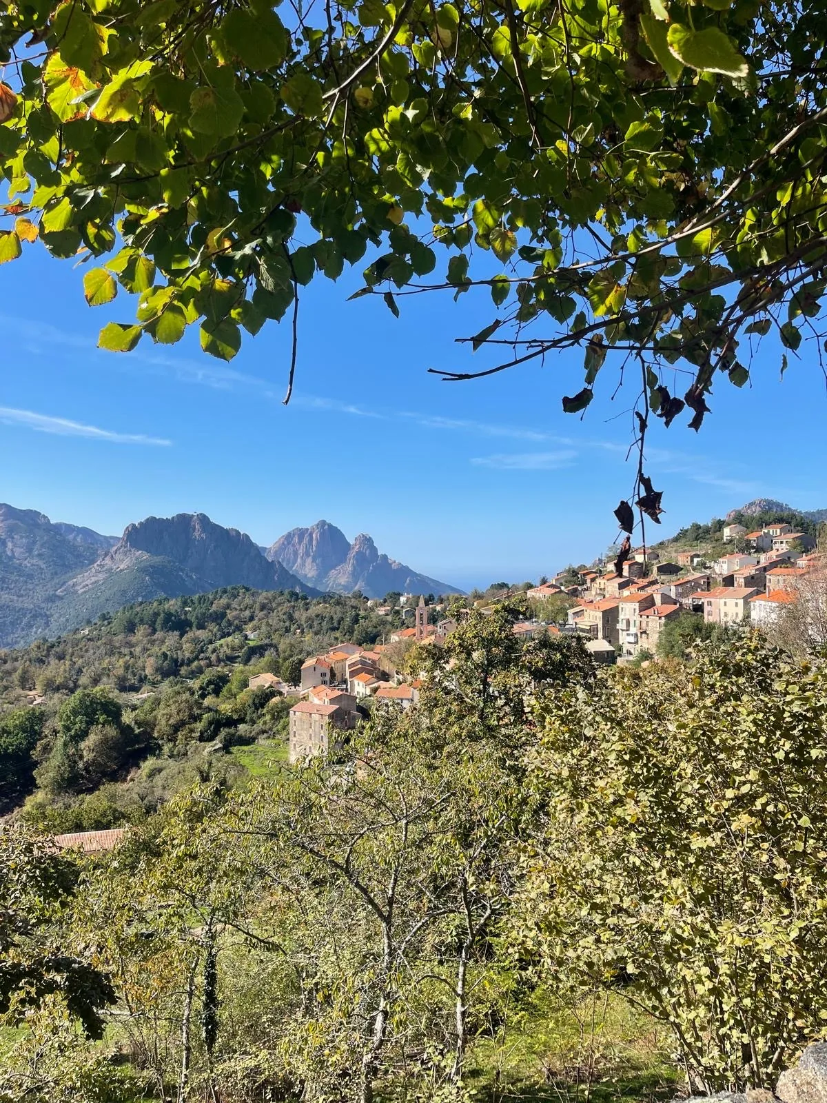 La région d'Évisa